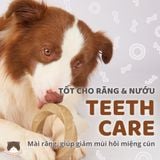  Đồ chơi gặm gỗ Wooden FOFOS cho chó 