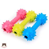  Đồ chơi hình tạ gai có chuông cho chó 