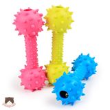  Đồ chơi hình tạ gai có chuông cho chó 