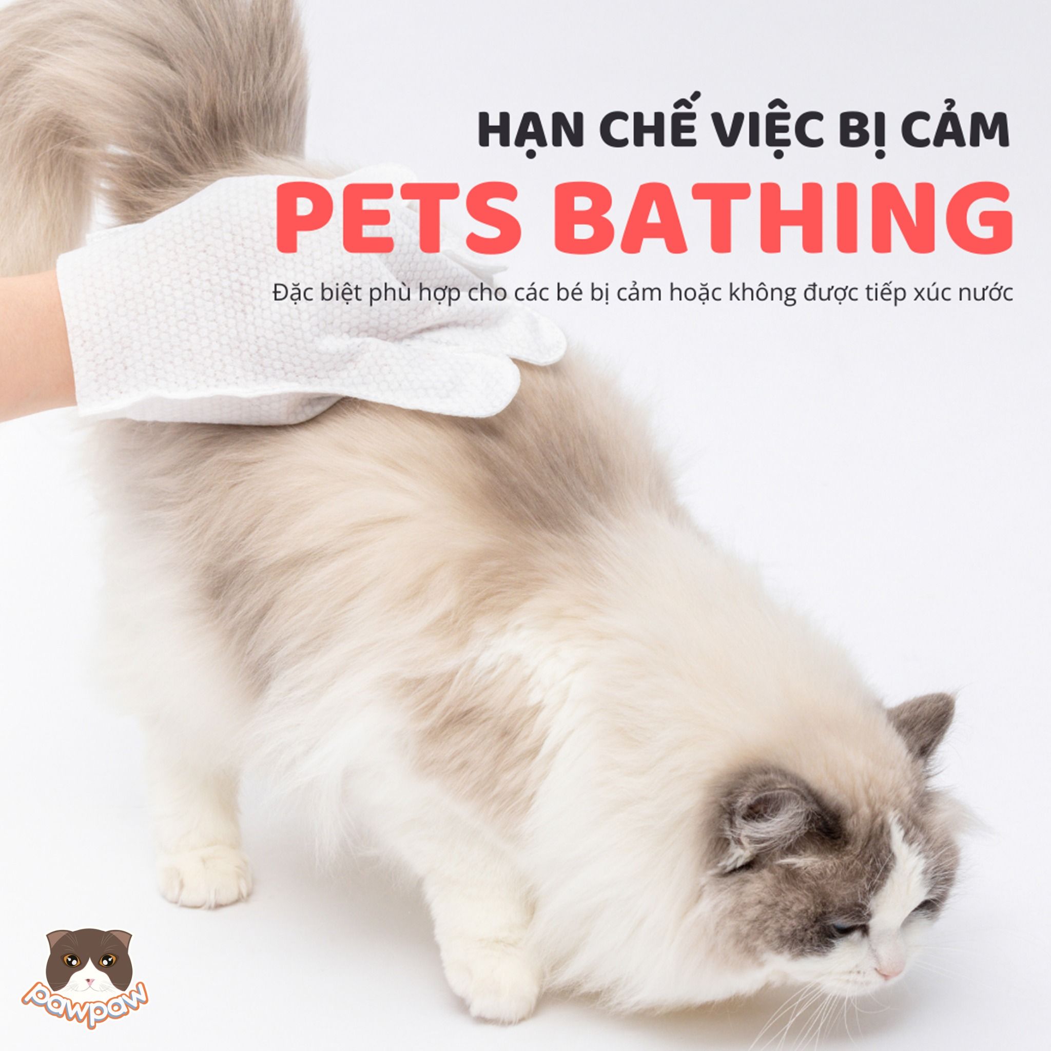  Găng tay giấy tắm khô Fofos cho chó mèo 