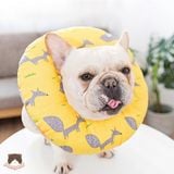  Vòng gối chống liếm cho chó mèo 