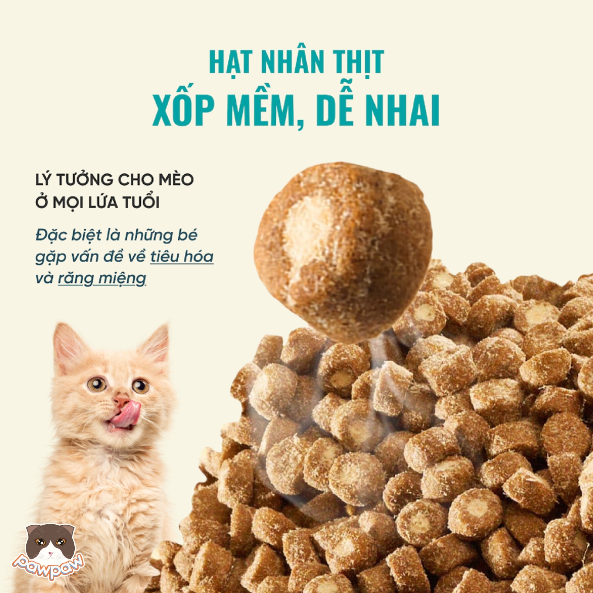  Hạt không ngũ cốc Bite of Wild B45 1kg dành cho mèo mọi độ tuổi 