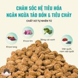  Hạt không ngũ cốc Bite of Wild B45 1kg dành cho mèo mọi độ tuổi 