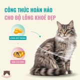  Hạt không ngũ cốc Bite of Wild K42 1kg dành cho mèo con 