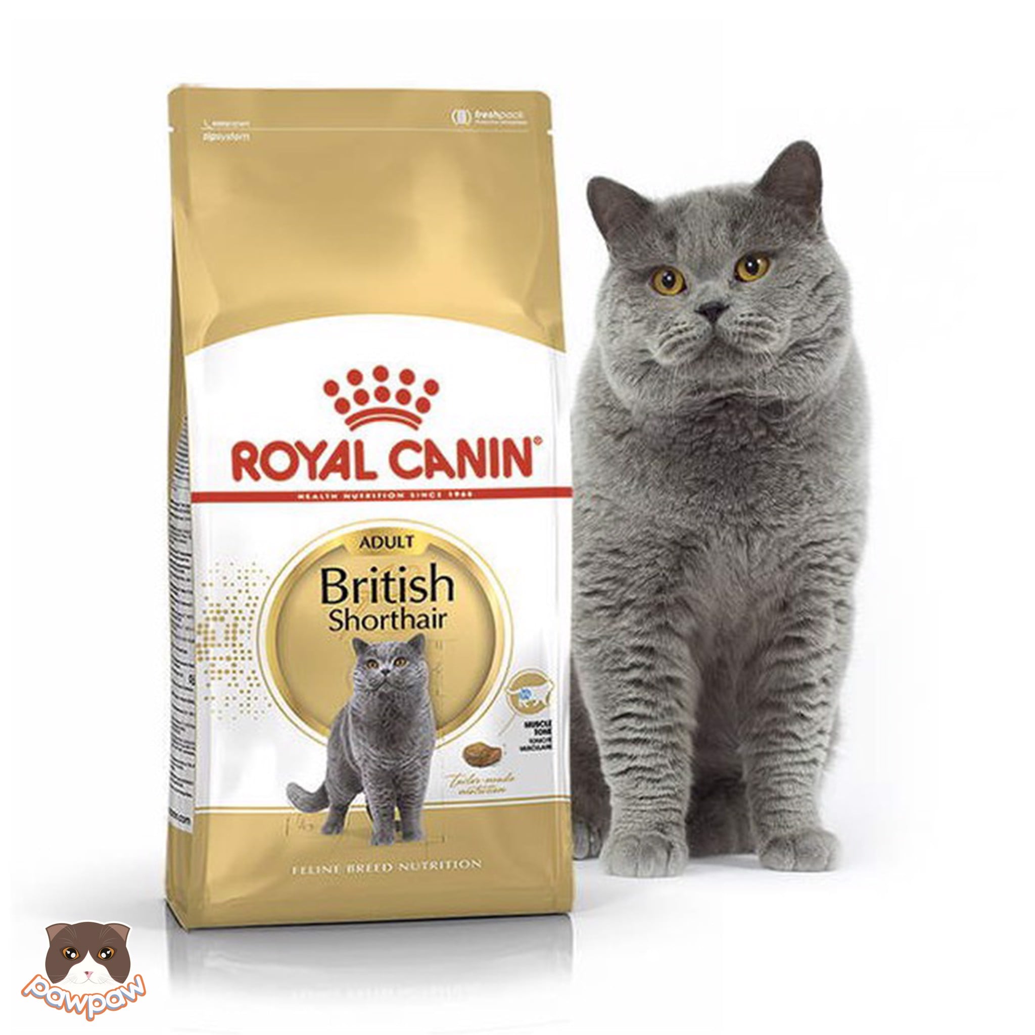  Thức ăn hạt Royal Canin cho mèo - British Shorthair 