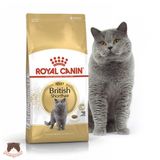  Thức ăn hạt cho mèo - British Shorthair 