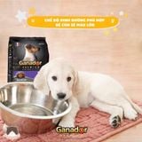  Thức ăn chó Ganador Puppy Milk with DHA 