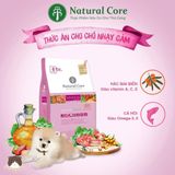  Thức ăn hạt vị cá hồi cho chó da nhạy cảm Natural Core ECO6 Sensitive 1kg 
