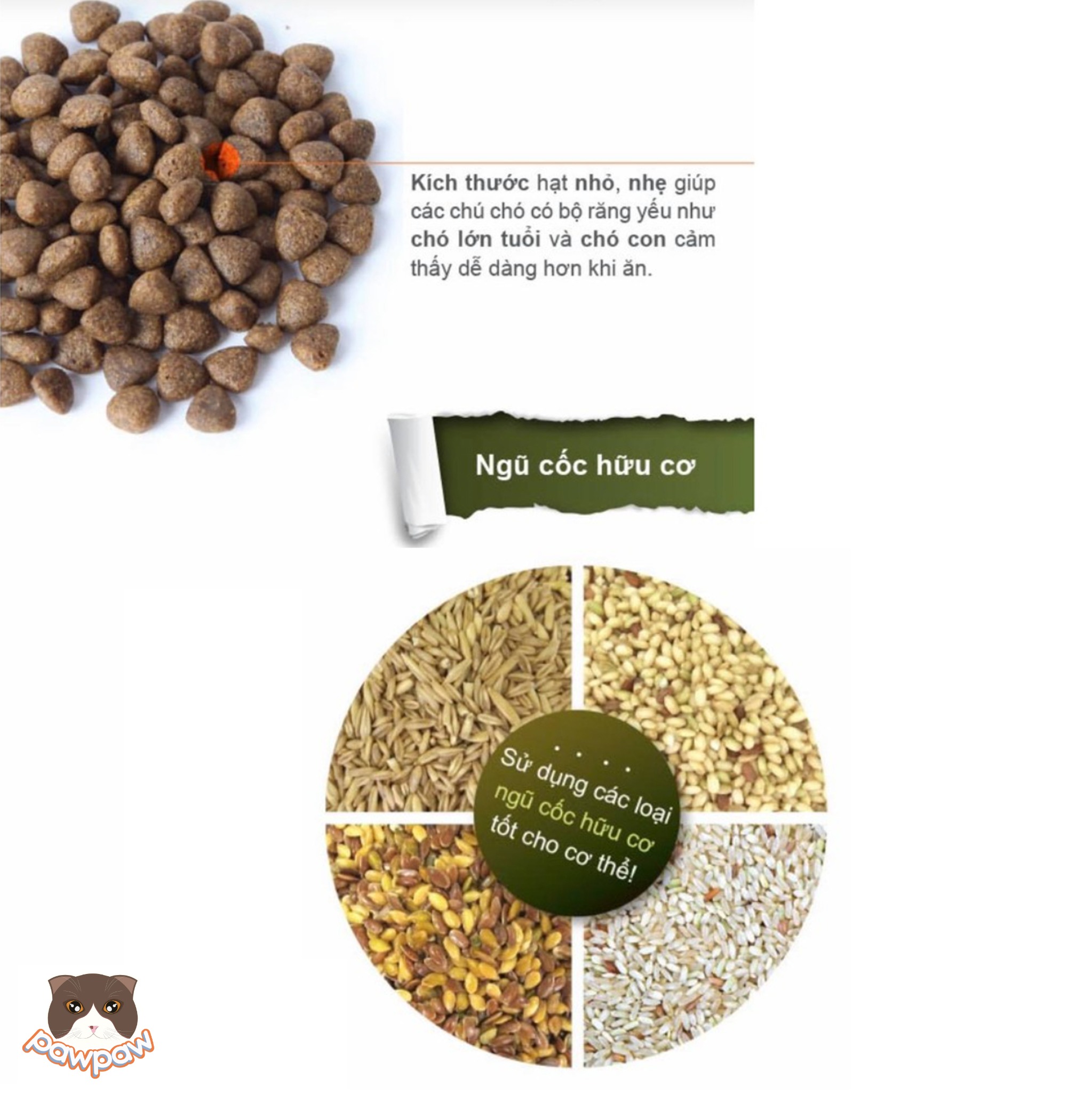  Thức ăn hạt vị cừu cho chó Natural Core ECO1 Lamp 