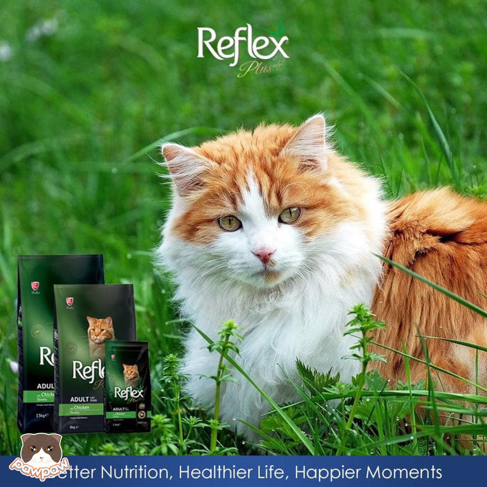  Hạt Reflex Plus Kitten 1.5kg vị gà cho mèo con 