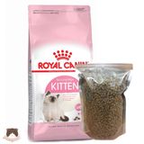  Hạt Royal Canin Kitten bao chiết 1kg cho mèo con 