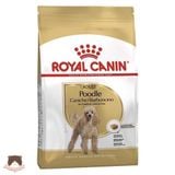  Thức ăn hạt Royal Canin cho chó - Poodle Adult 