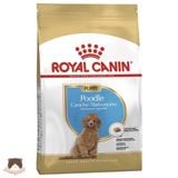  Hạt Royal Canin Poodle Puppy cho chó con 