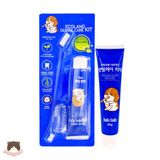  Bộ bàn chải & kem đánh răng Budle Budle cho chó mèo 