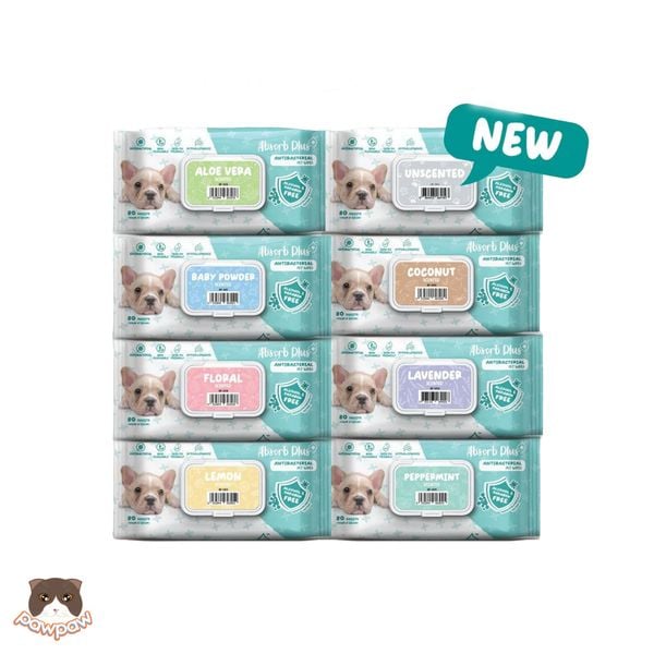  Khăn giấy ướt kháng khuẩn Absorb 80 tờ cho chó 