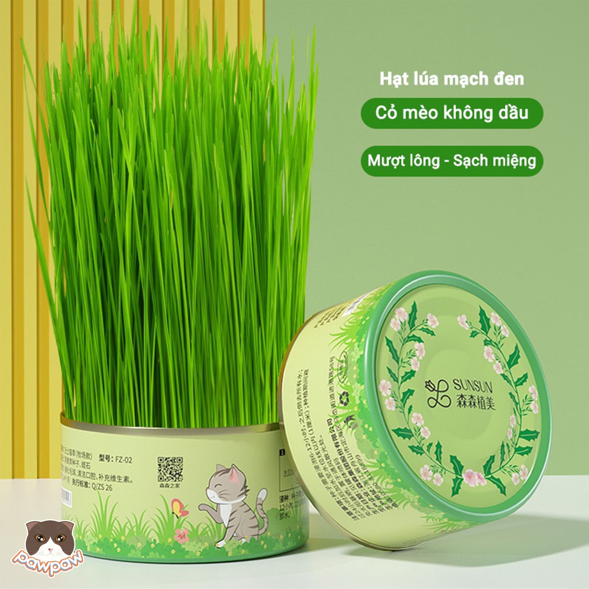  Lon trồng cỏ mèo tươi Sun Sun 