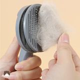  Lược chải có nút đẩy lông Pakeway T9 cho chó mèo 