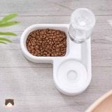  Bát ăn uống tự động đặt góc cho chó mèo 