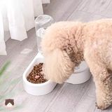  Bát ăn uống tự động đặt góc cho chó mèo 
