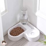  Bát ăn uống tự động đặt góc cho chó mèo 