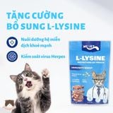  Pate Mr.Vet 70g cho mèo 