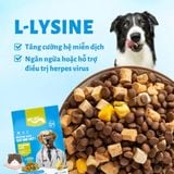  Hạt mix thịt sấy Mr.Vet D1 chăm sóc hệ tiêu hóa chó mọi độ tuổi 