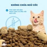  Hạt mix thịt sấy Mr.Vet G1 không ngũ cốc cho mèo mọi độ tuổi 