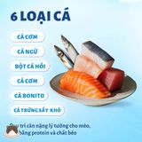  Hạt mix thịt sấy Mr.Vet T4 Indoor cho mèo mọi độ tuổi 