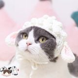  Nón len, vòng cổ len cho chó mèo 