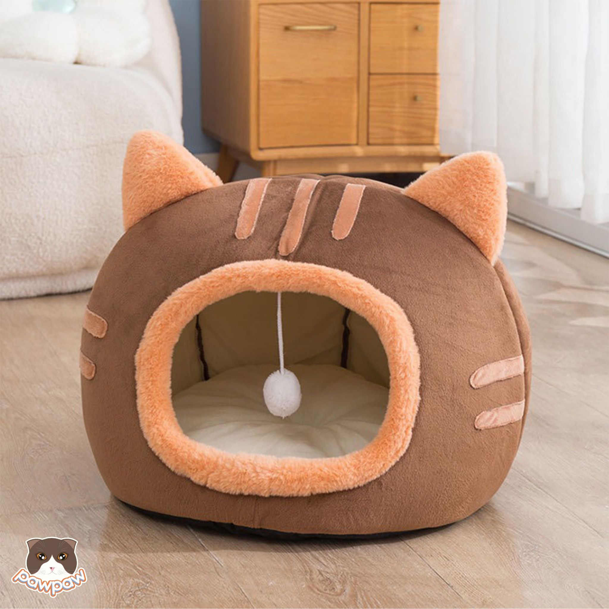 37Hình ảnh hình nền mèo Tai Cụp đẹp cute dễ thương và ngộ nghĩnh