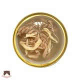  Pate cá ngừ Fit4cats Premium 85g cho mèo 