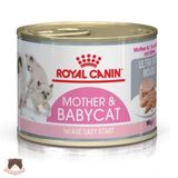  Pate Royal Canin Baby Cat 195gr cho mèo 