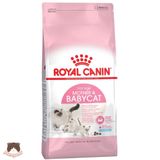  Hạt Royal Canin Mother & Baby Cat cho mèo mẹ & mèo con 