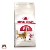  Hạt Royal Canin Fit32 cho mèo trưởng thành 