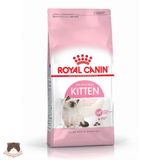  Hạt Royal Canin Kitten cho mèo con 