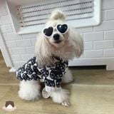  Áo sơ mi mèo đen 