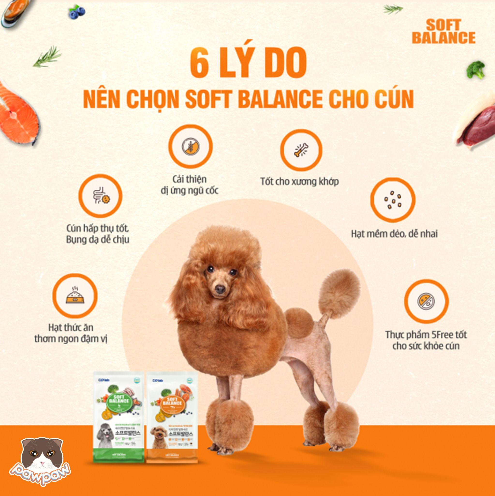  Hạt mềm Soft Balance cho chó mọi độ tuổi 