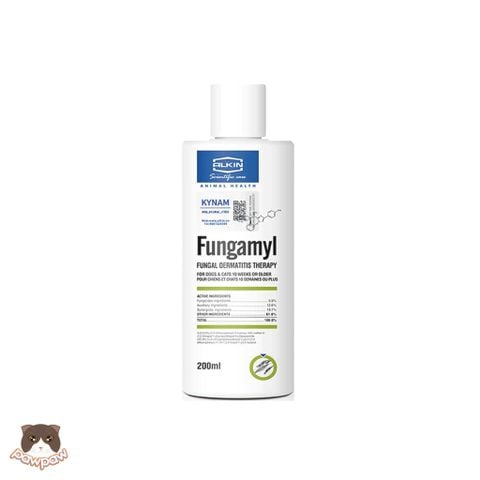 Nấm -  Viêm da cho mèo