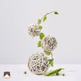  Cát đậu nành Cature Tofu & Bentonite 7L mùi sữa cho mèo 