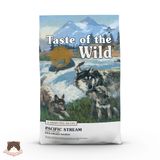  Hạt Taste Of The Wild Pacific Stream Puppy cá hồi xông khói 500g cho chó mẹ & chó con 