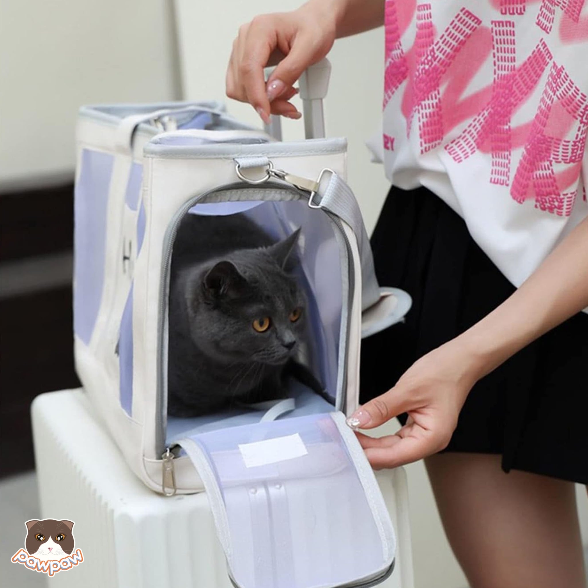  Túi xách Hello Cat cho chó mèo 