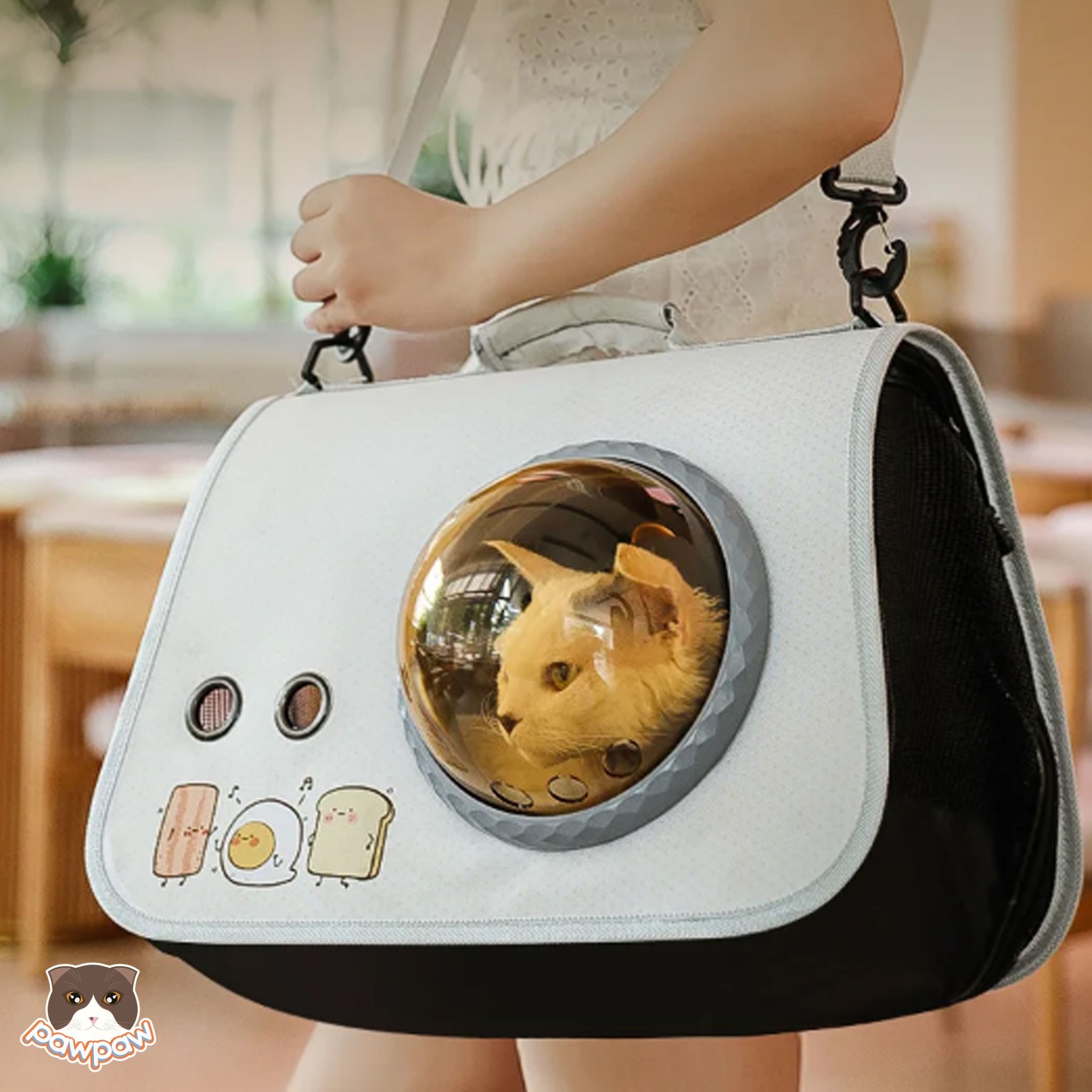  Túi xách phi hành gia cho chó mèo 