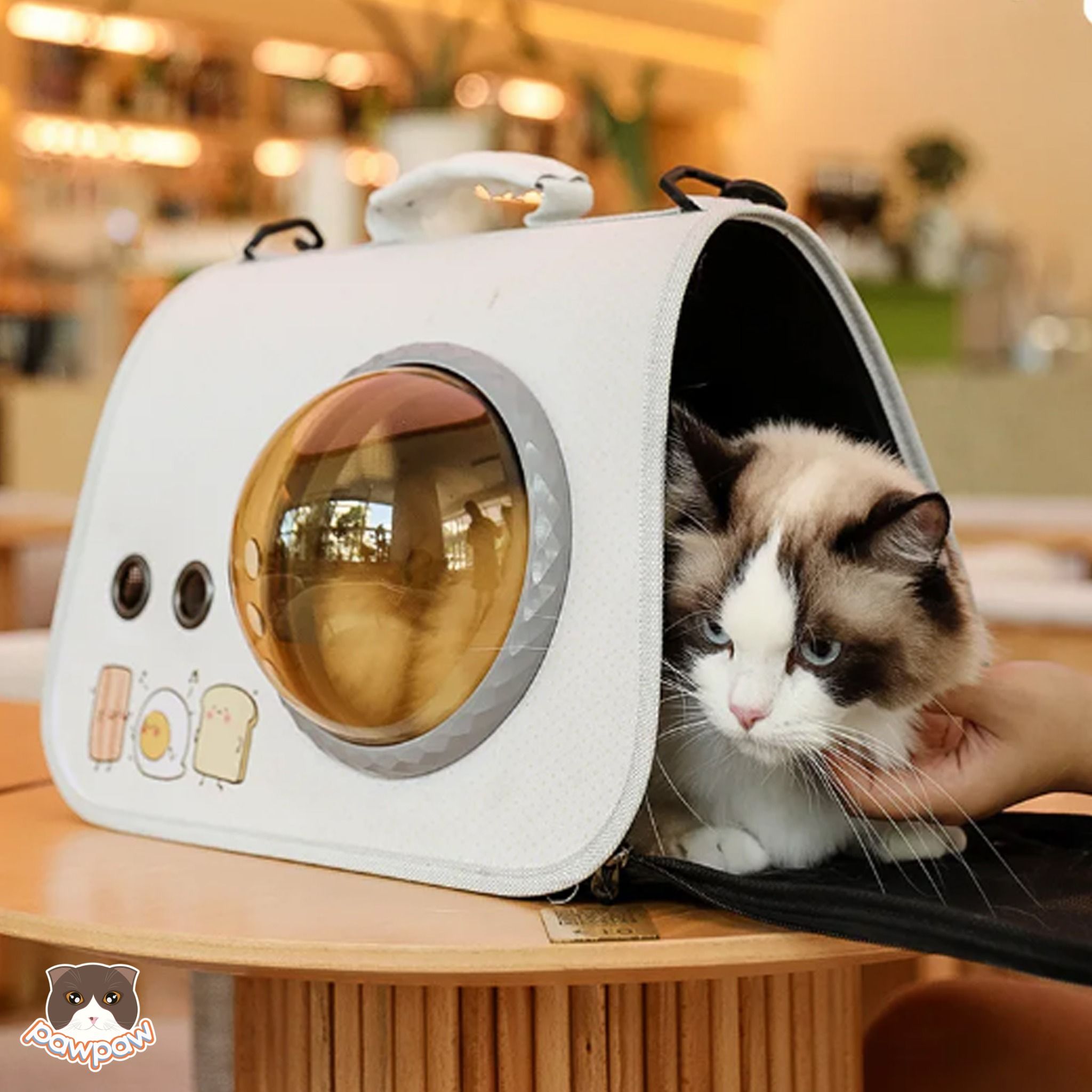  Túi xách phi hành gia cho chó mèo 