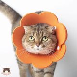  Vòng chống liếm hình hoa dẻo cho chó mèo 