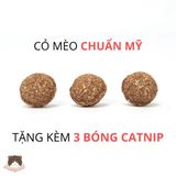  Đồ chơi vẹt phát ra tiếng có catnip Fofos cho mèo 