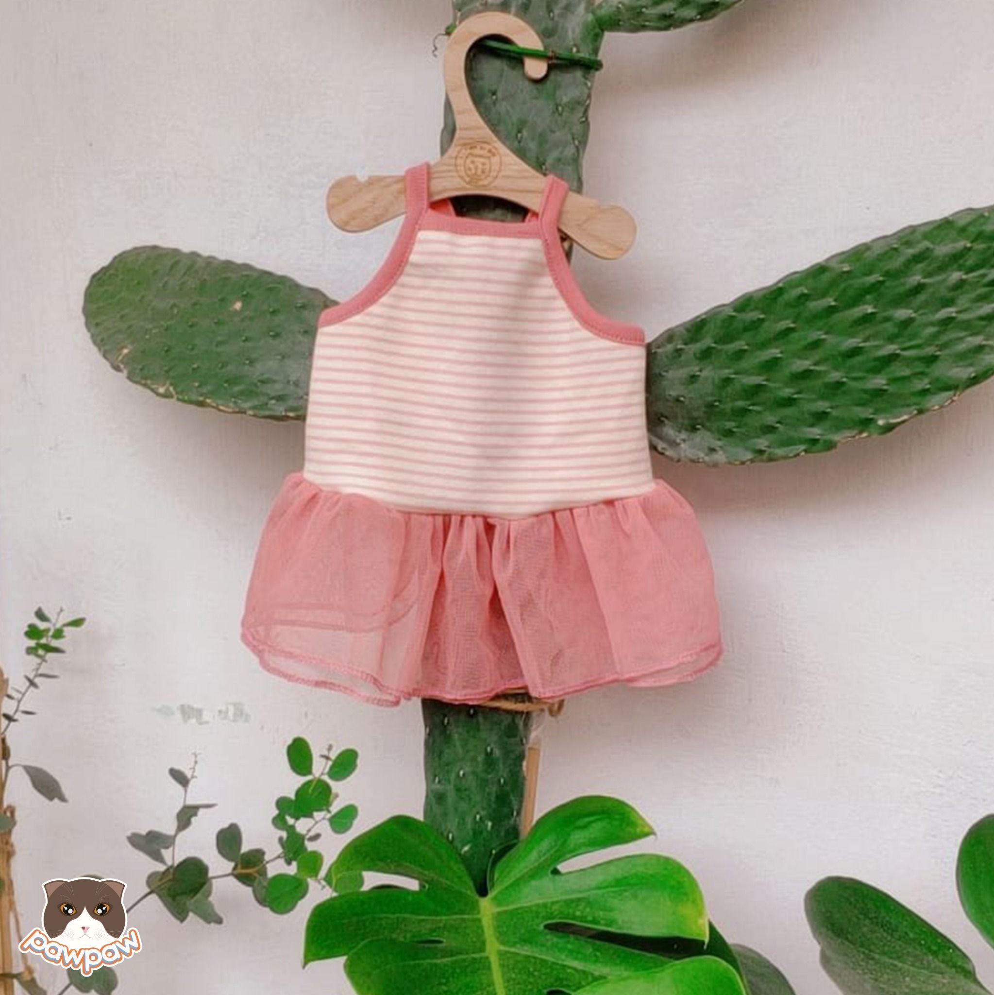 Tổng hợp Thoi Trang Thu Cung giá rẻ bán chạy tháng 72023  BeeCost
