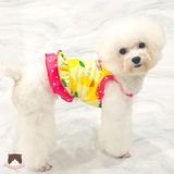  Váy 2 dây cổ giọt nước Lemon cho chó mèo 