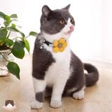  Vòng cổ bông hoa cho chó mèo 
