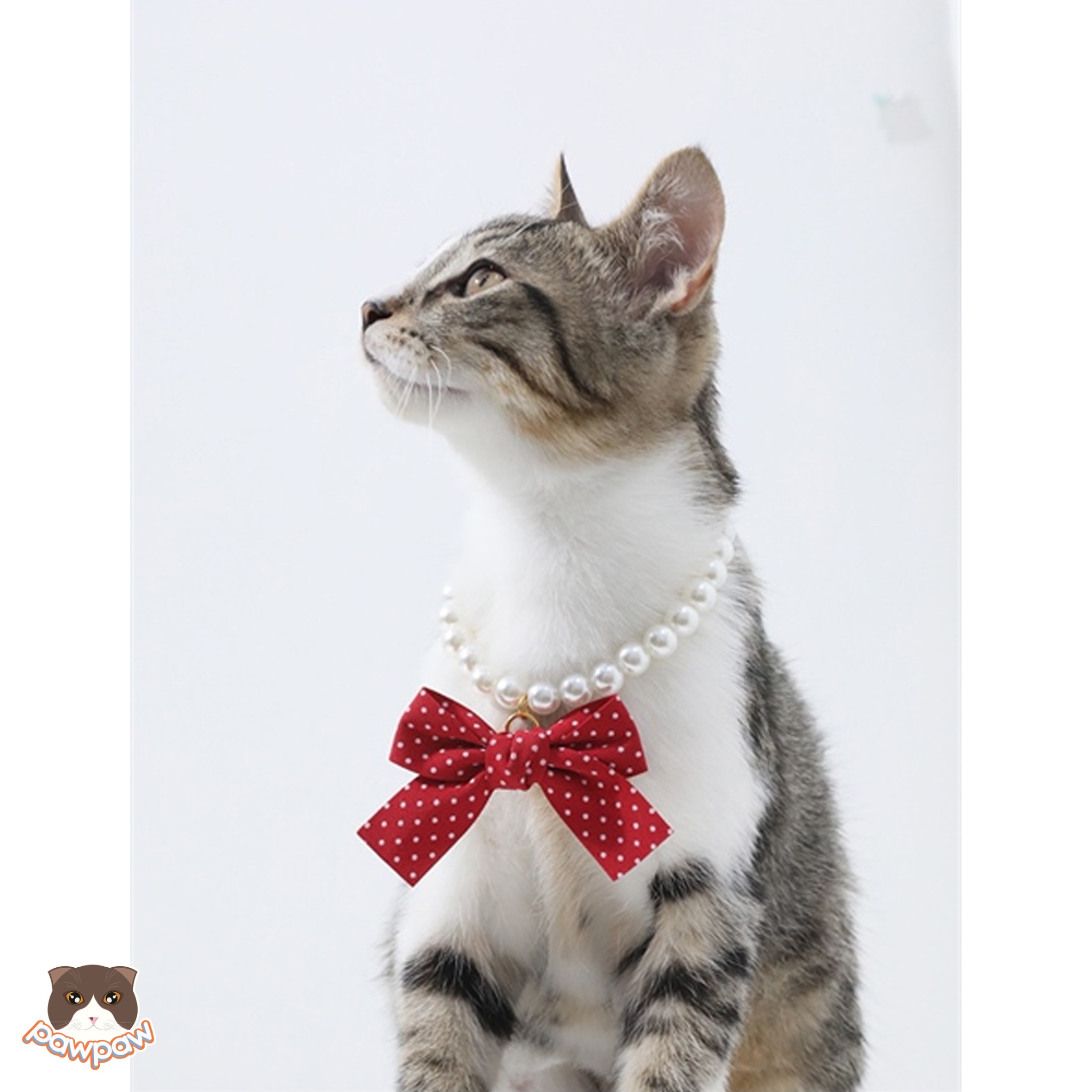  Vòng cổ nơ ngọc trai cho chó mèo 