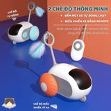  Xe điện điều khiển từ xa Pet Gravity cho chó mèo 